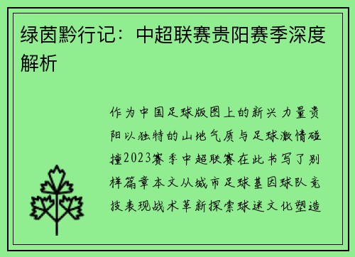 绿茵黔行记：中超联赛贵阳赛季深度解析