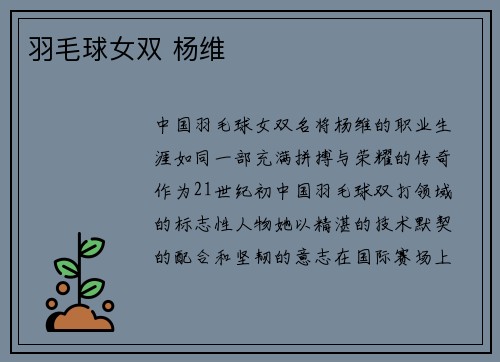 羽毛球女双 杨维